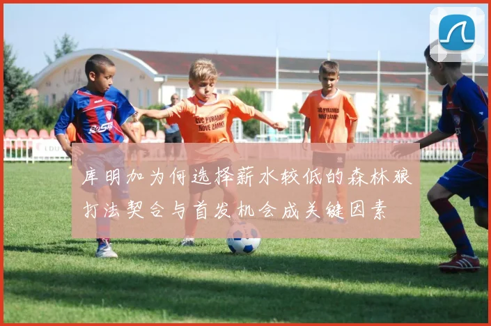 库明加为何选择薪水较低的森林狼打法契合与首发机会成关键因素